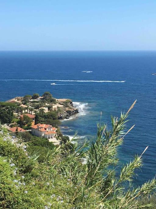 Vue Mer Incroyable Aux Portes De Monaco Cap-d'Ail Esterno foto